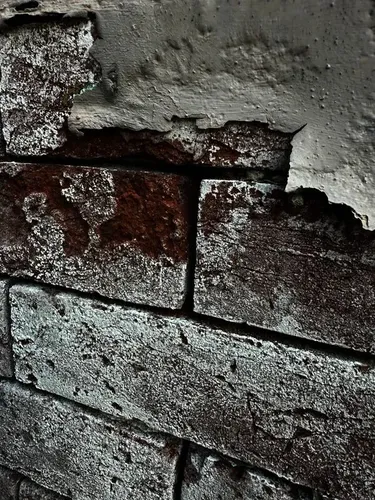 Signs you need tuckpointing services